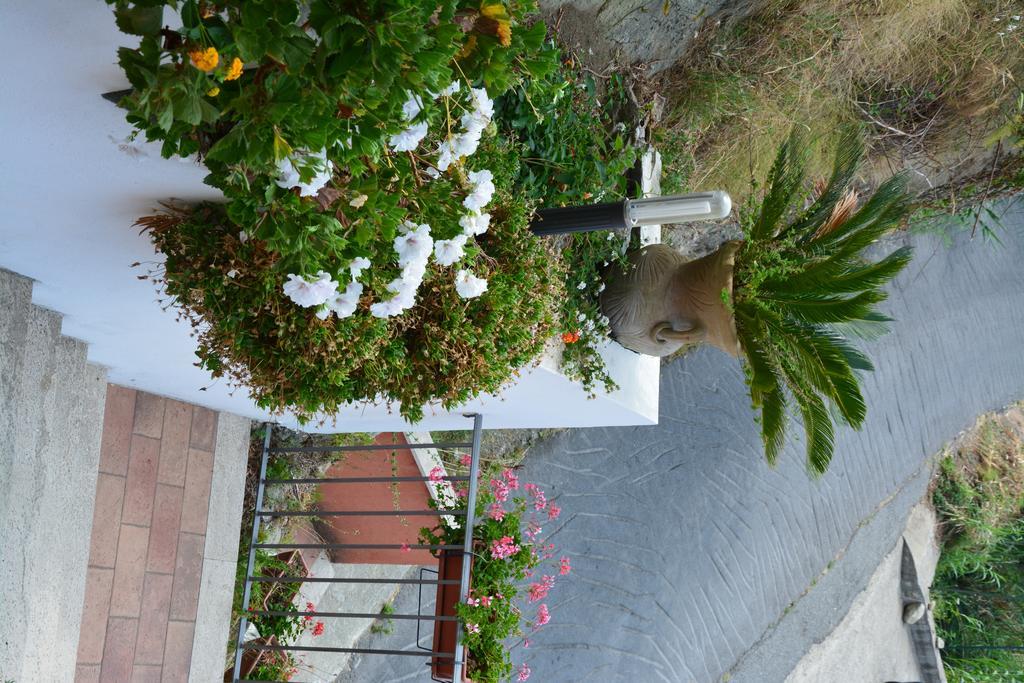 פאולה B&B La Casa Rossa מראה חיצוני תמונה