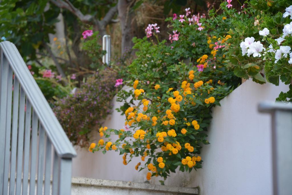 פאולה B&B La Casa Rossa מראה חיצוני תמונה